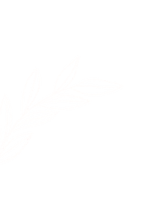 Layout background