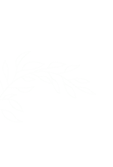 Layout background